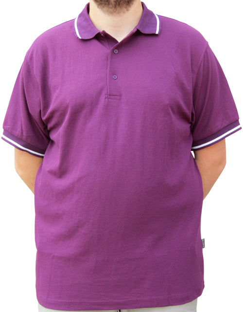 Azzuro Tipped Polo Straight Hem Ap111