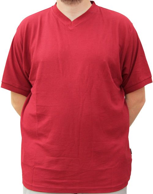 Azzuro V-Neck Pique T-Shirts Ap104