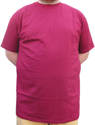 Azzuro Round Neck T-Shirts Ap103